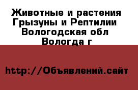 Животные и растения Грызуны и Рептилии. Вологодская обл.,Вологда г.